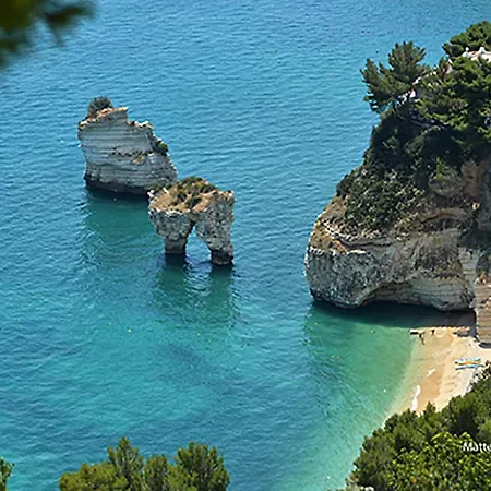 Bellissimo #1 * Manfredonia